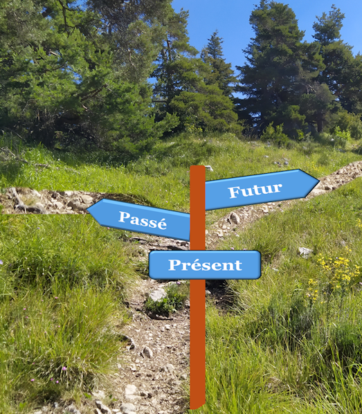 Bilan competences